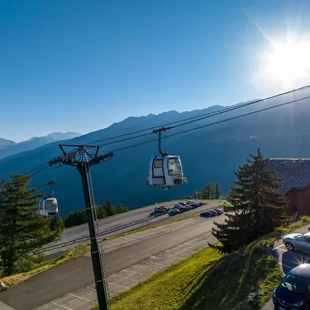 Noemys Backgammon La Plagne