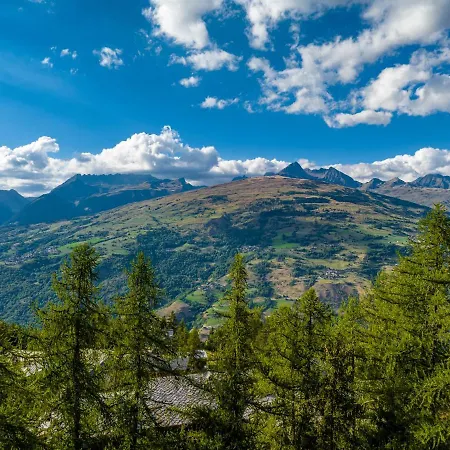 Aparthotel Noemys Backgammon