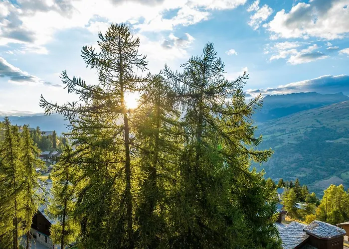 Hotel apartamentowy Noemys Backgammon 3*