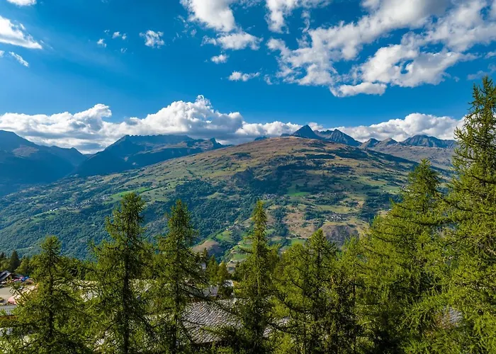 Aparthotel Noemys Backgammon